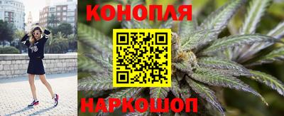 мяу мяу мука Канаш