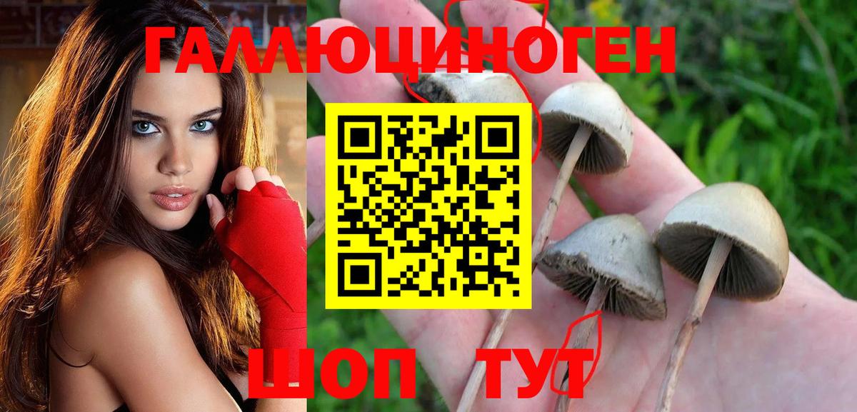 где купить   Вход с VPN  Галлюциногенные грибы мухоморы  Кстово  Псилоцибиновые грибы Cubensis 